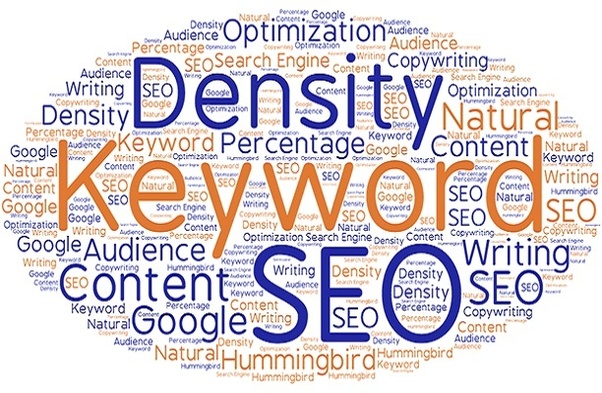 DeBellis Enterprises LLC, Digital Marketing in Mooresville, NC - photo 7