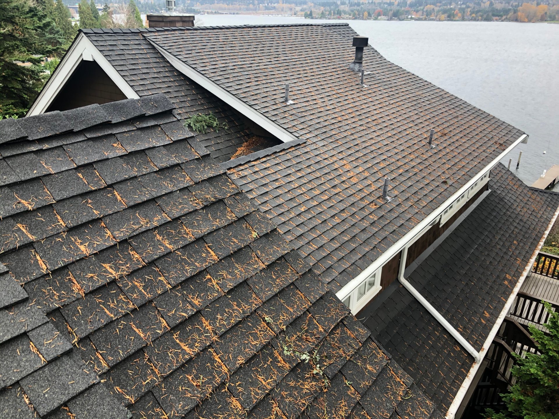 Fisher Exterior Solutions, Pressure Washing in Monroe, WA - photo 1