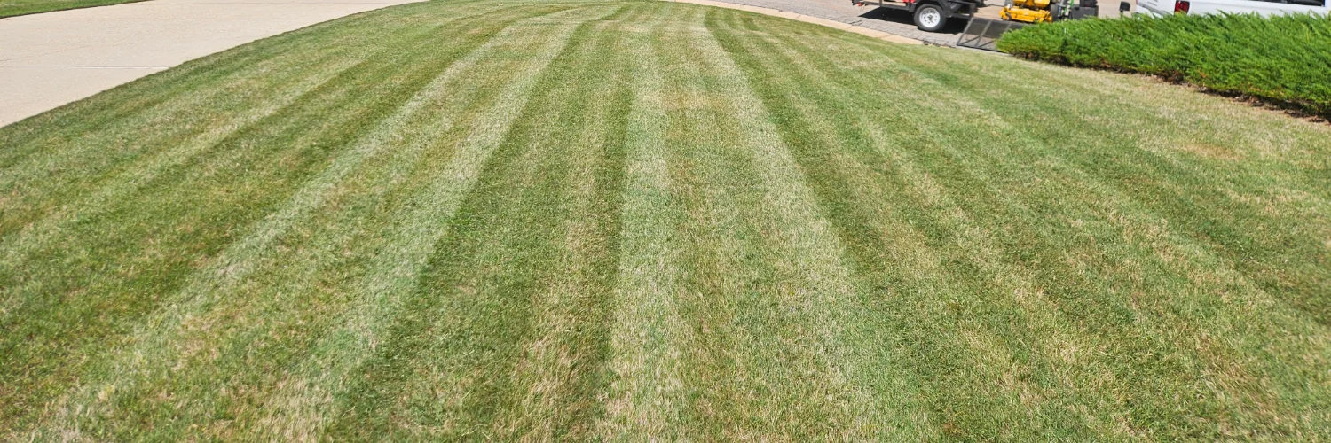 Backwaters Lawncare cover photo