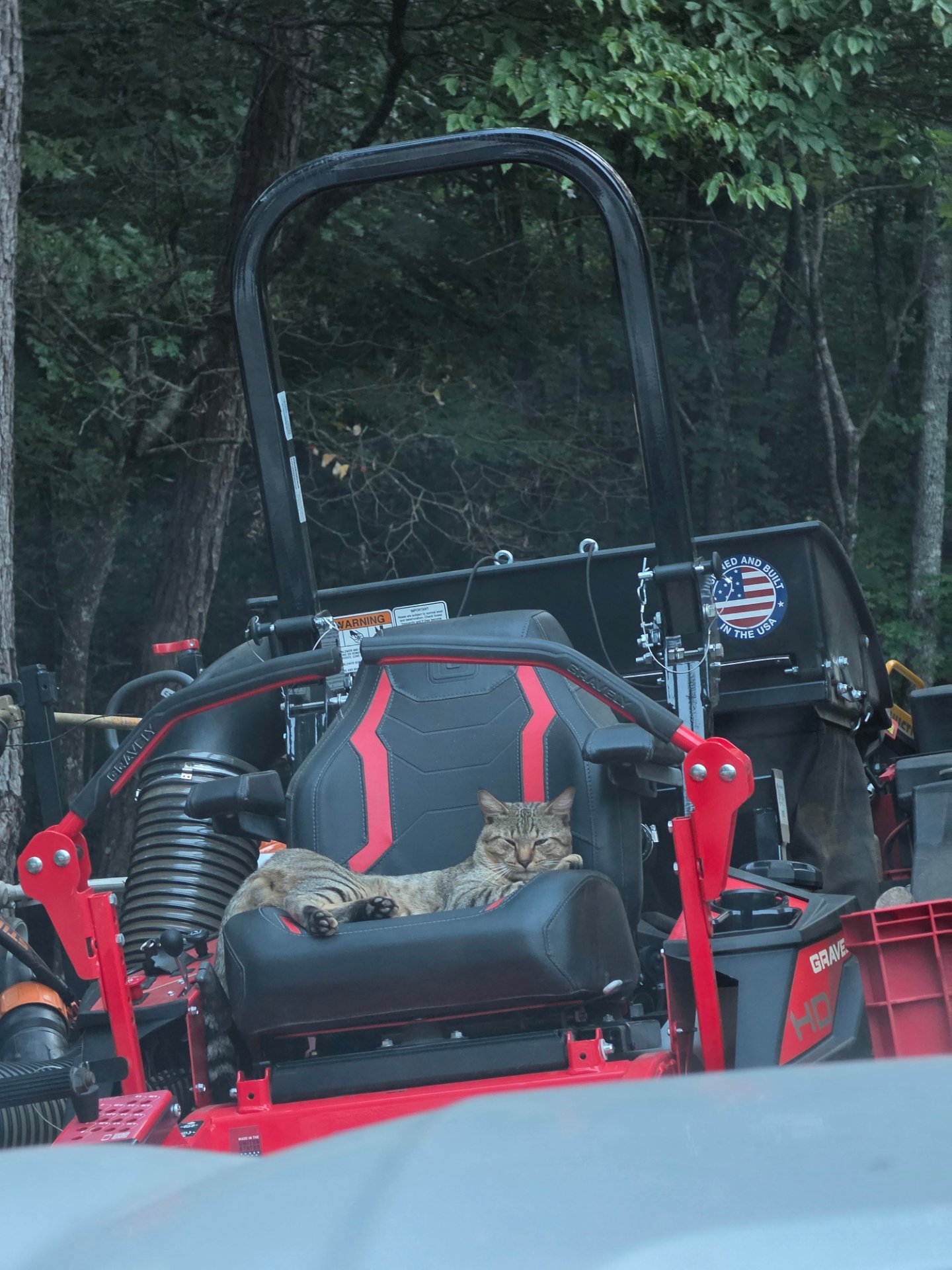 Backwaters Lawncare, Full Service Lawn Care in Salem, AL - photo 1
