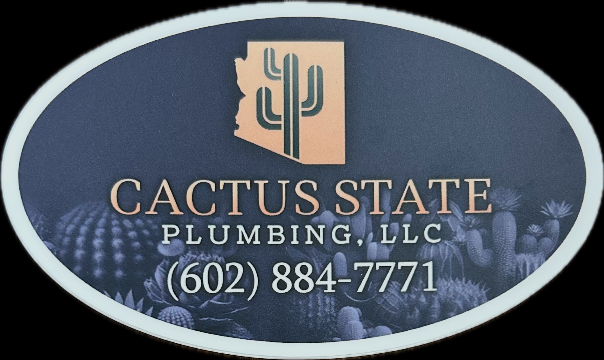 Cactus State Plumbing llc, Backflow Services in Litchfield Park, AZ - photo 5