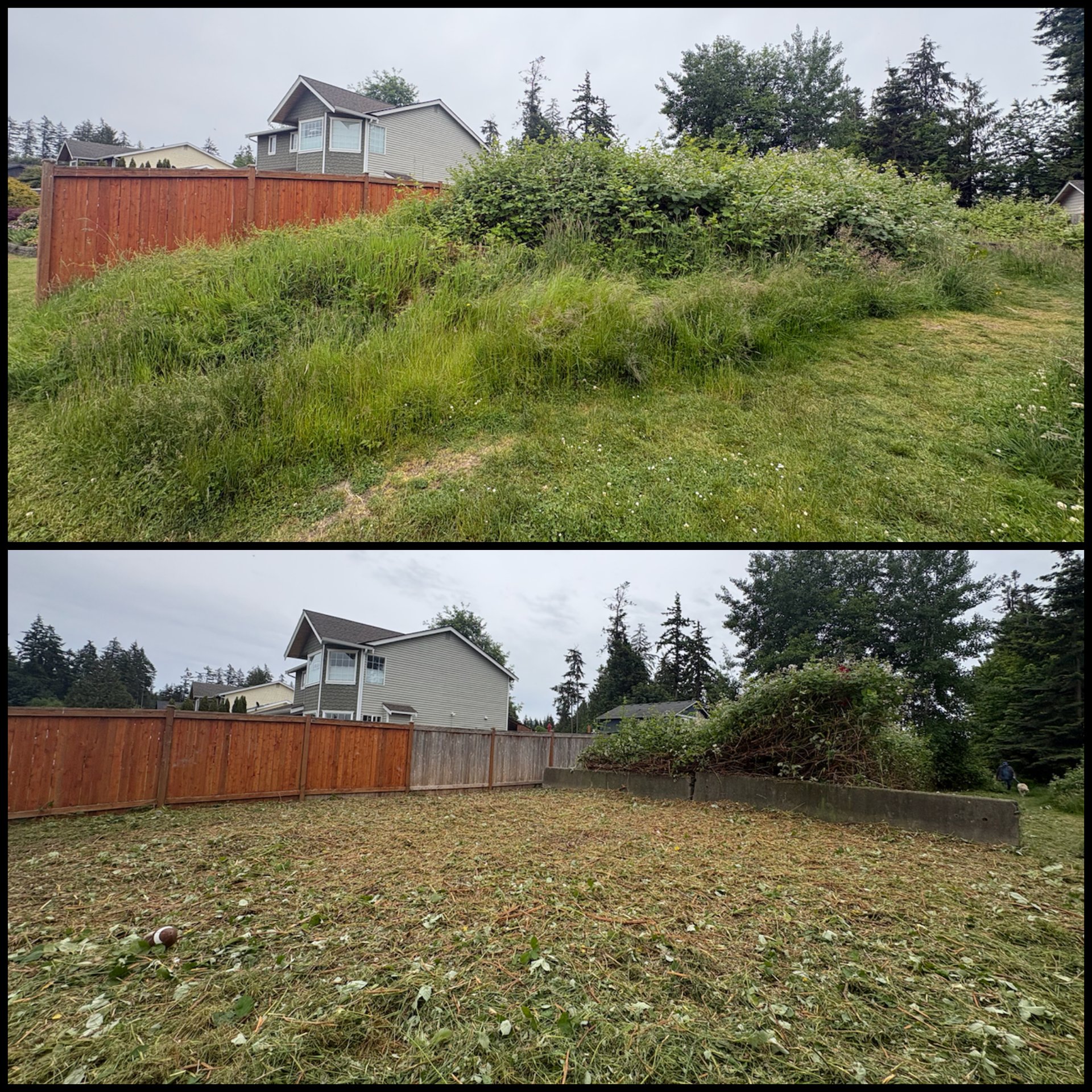 Golovin Property Services, Weeding in Marysville, WA - photo 4