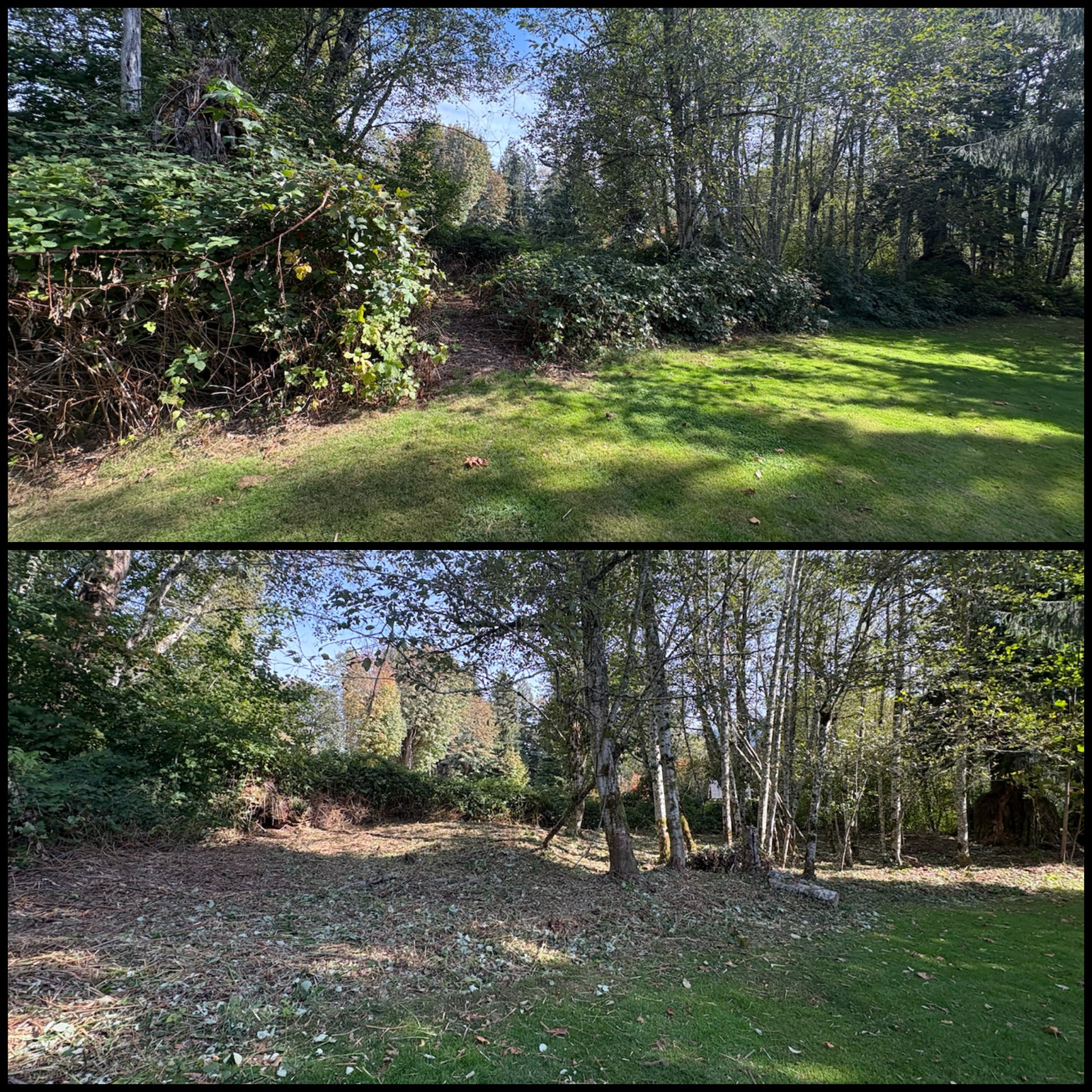 Golovin Property Services, Weeding in Marysville, WA - photo 5
