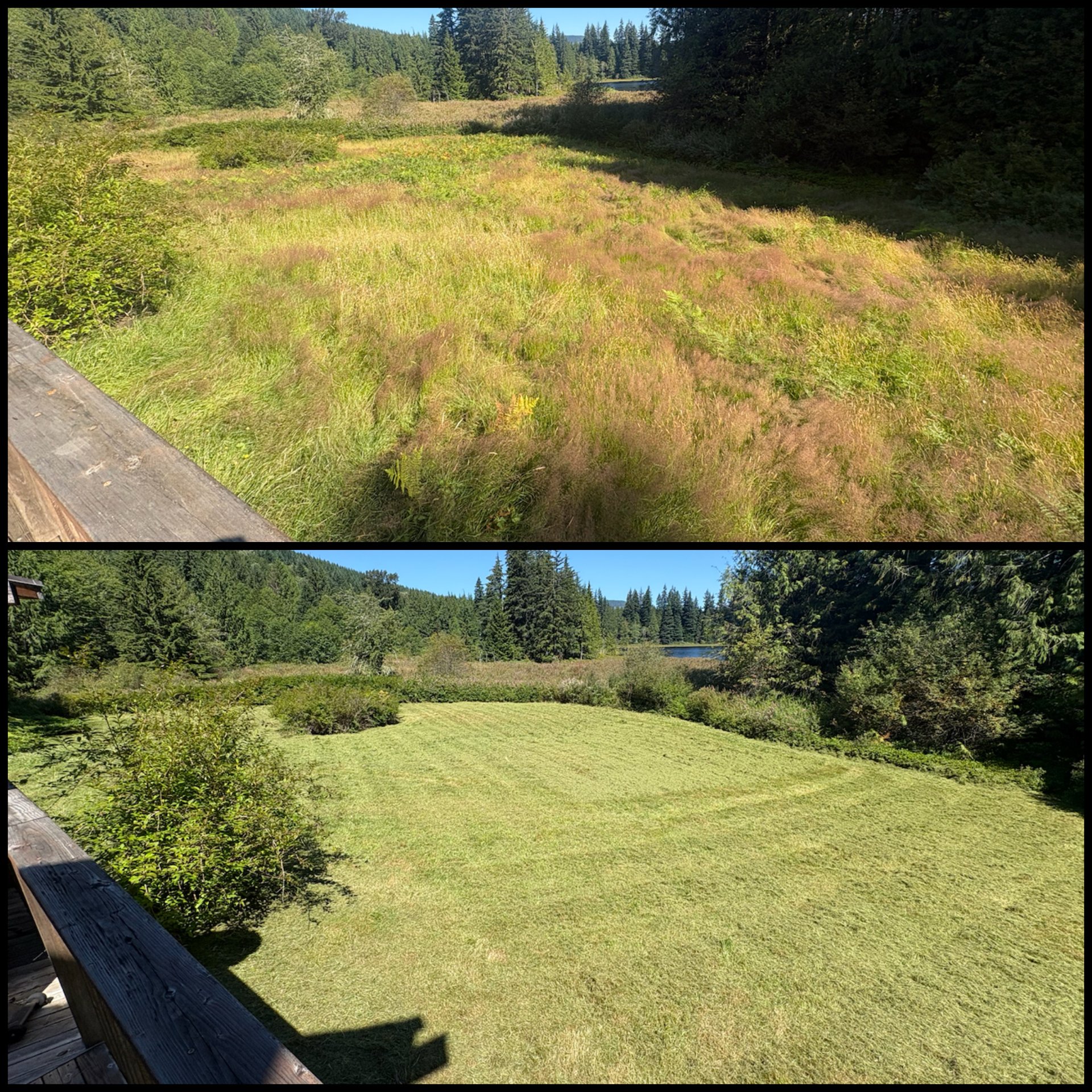 Golovin Property Services, Weeding in Marysville, WA - photo 6