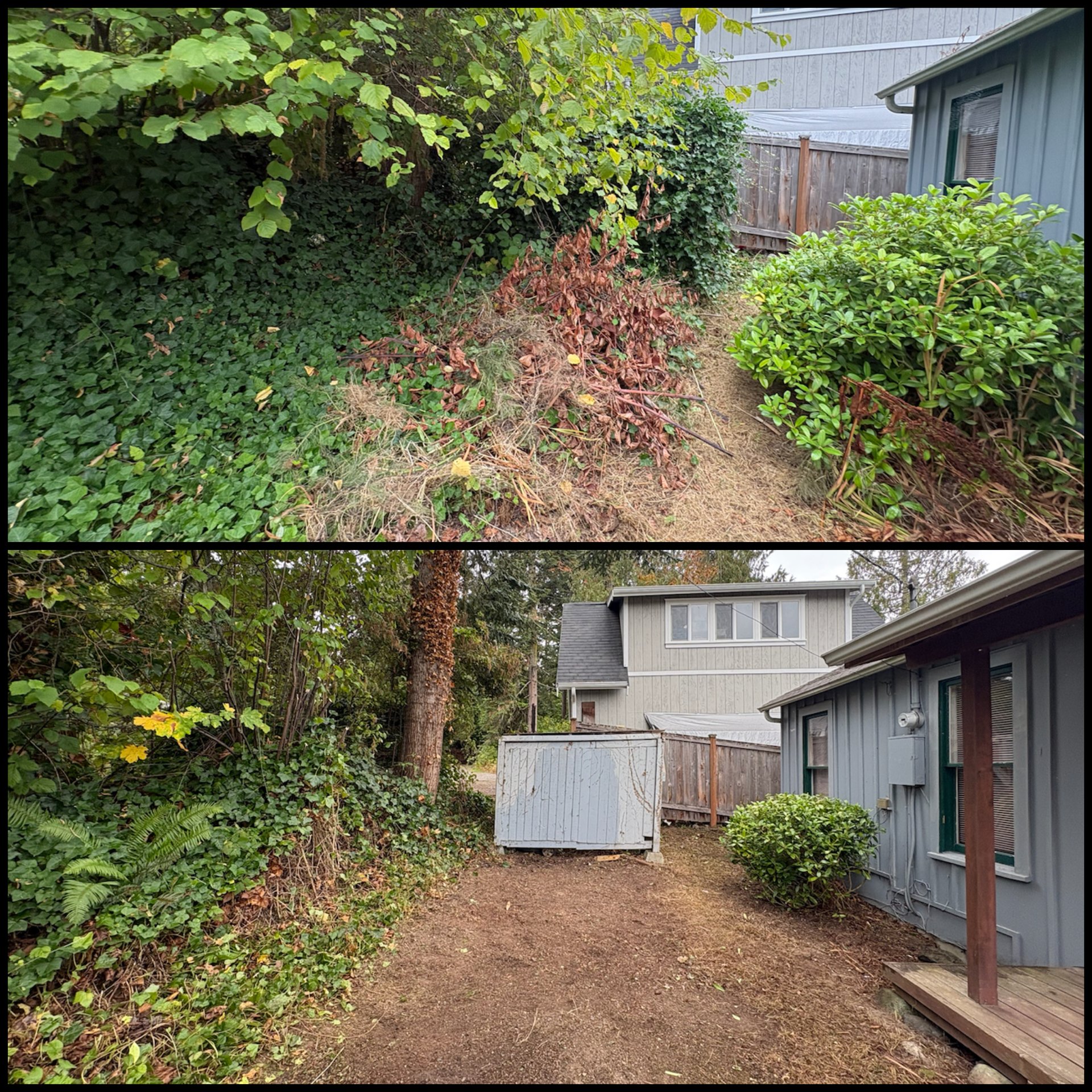 Golovin Property Services, Weeding in Marysville, WA - photo 7