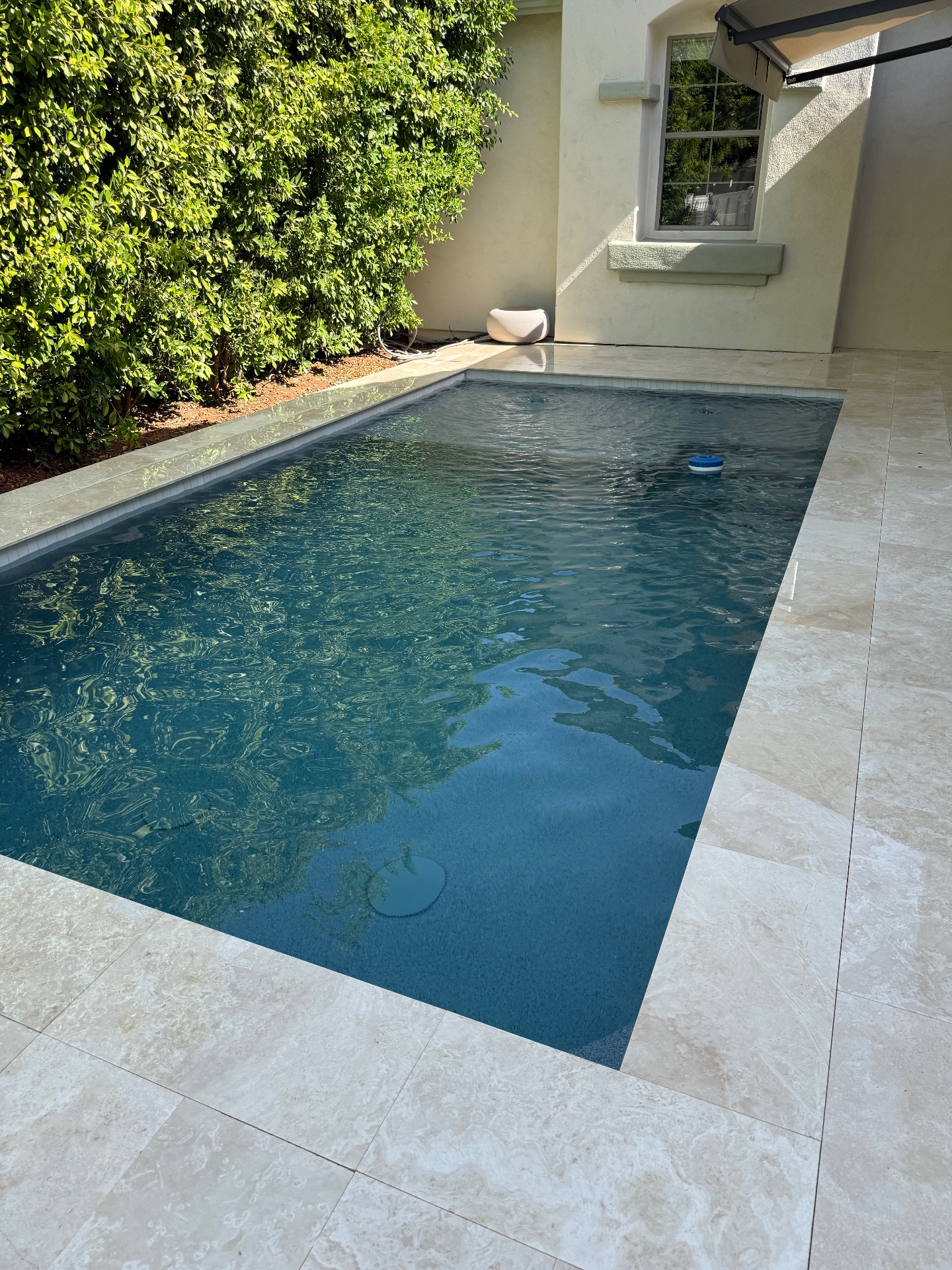 Palm Valley Pools, Pool Cleaners in Goodyear, AZ - photo 7