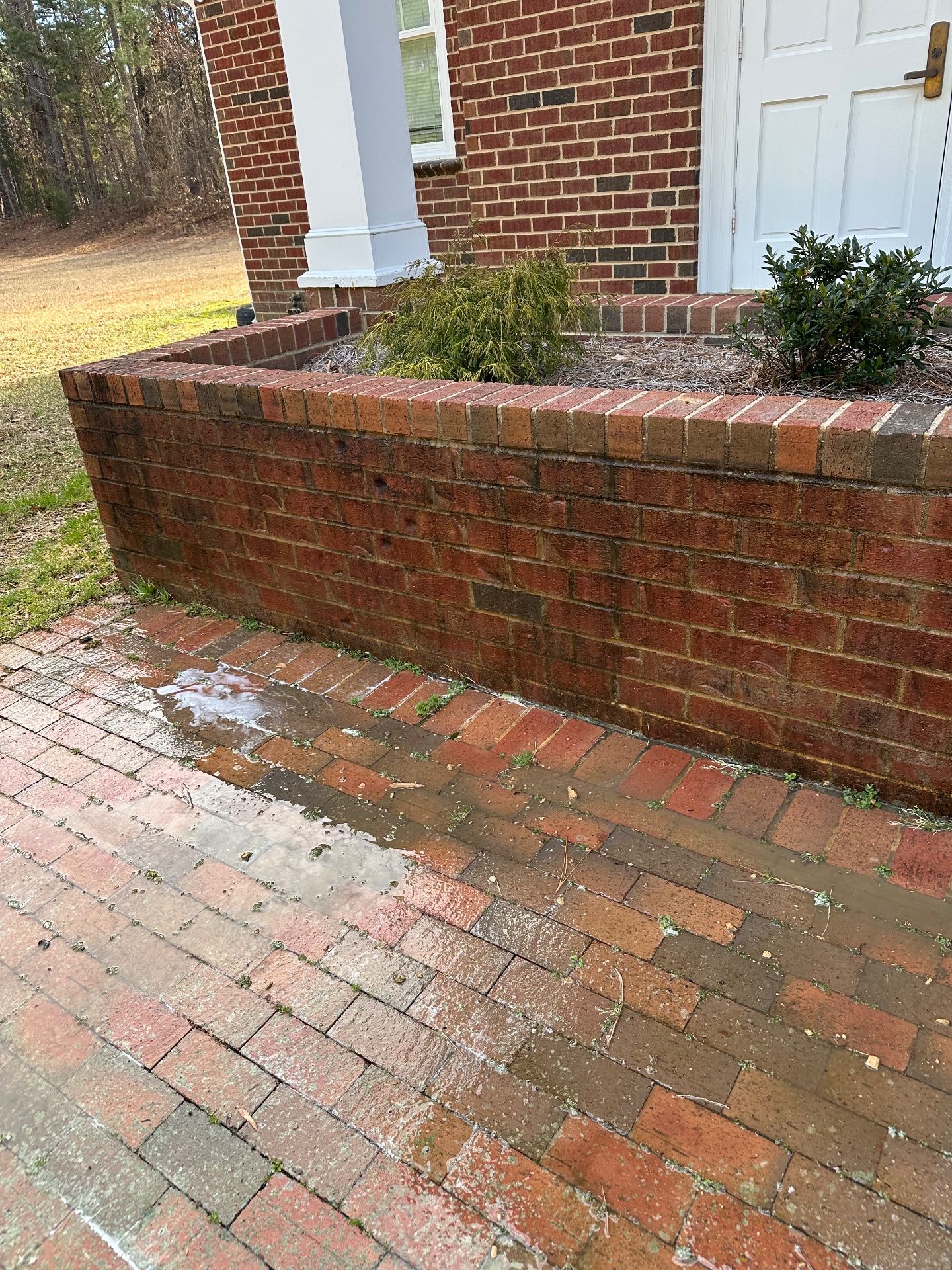 NJ Pressure Washing, Pressure Washing in Chapel Hill, NC - photo 2