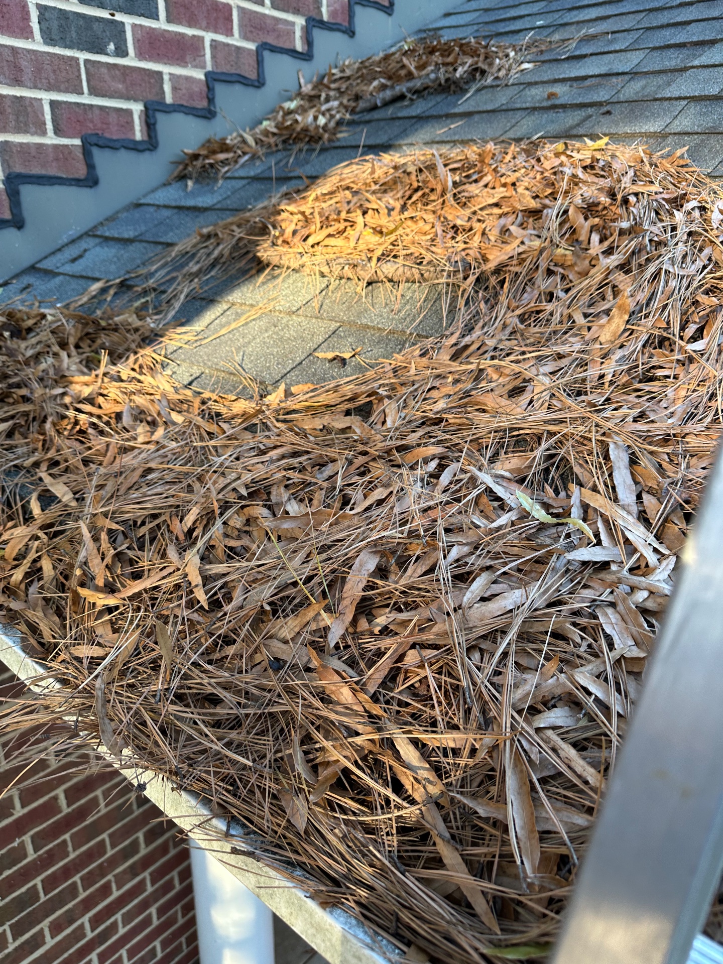 NJ Pressure Washing, Pressure Washing in Chapel Hill, NC - photo 5