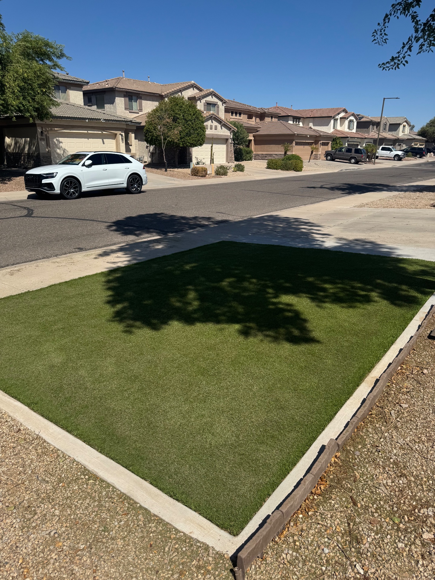 HAUS Outdoor Living, Artificial Turf in Peoria, AZ - photo 3