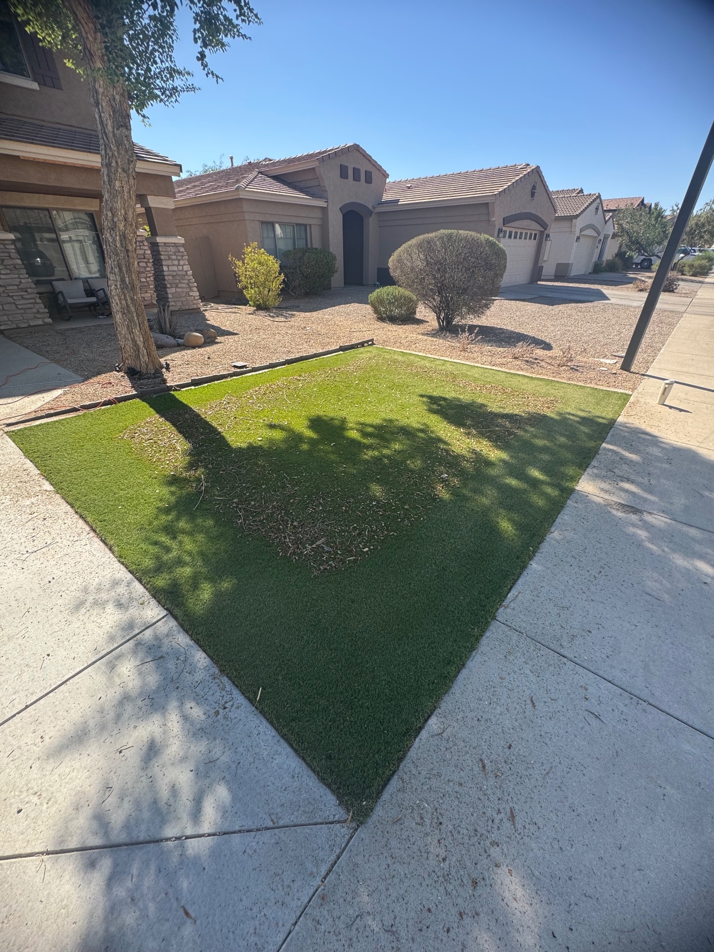 HAUS Outdoor Living, Artificial Turf in Peoria, AZ - photo 7