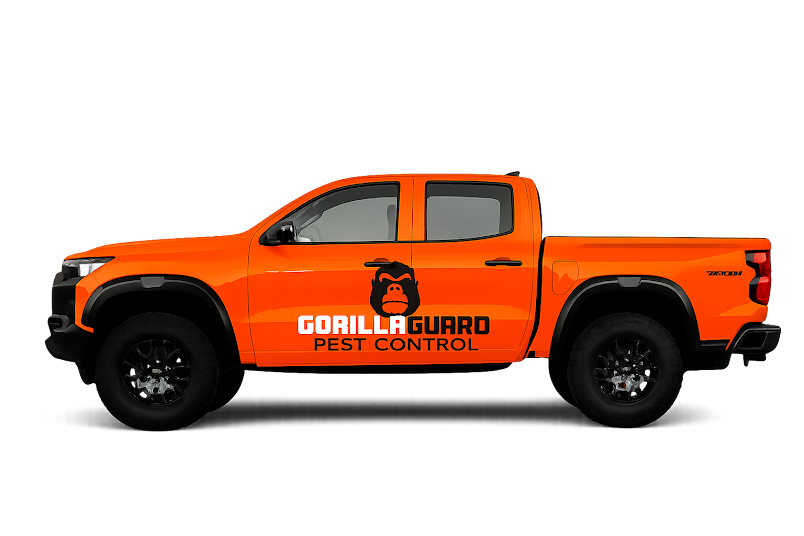 GorillaGuard Pest Control, Pest Control Services in Springfield, MO - photo 1