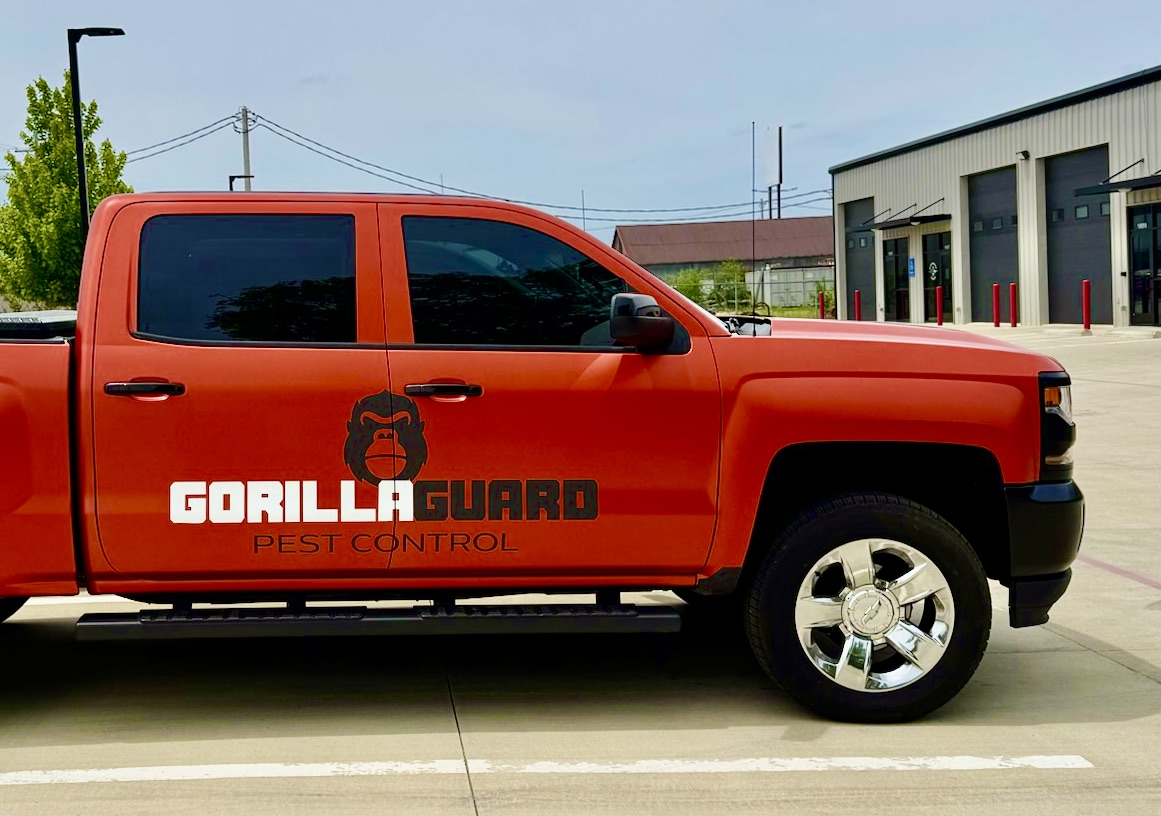 GorillaGuard Pest Control, Pest Control Services in Springfield, MO - photo 2