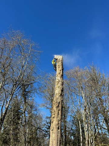 Douglas Tree Service & Landworks LLC, Firewood in Ridgefield, WA - photo 3