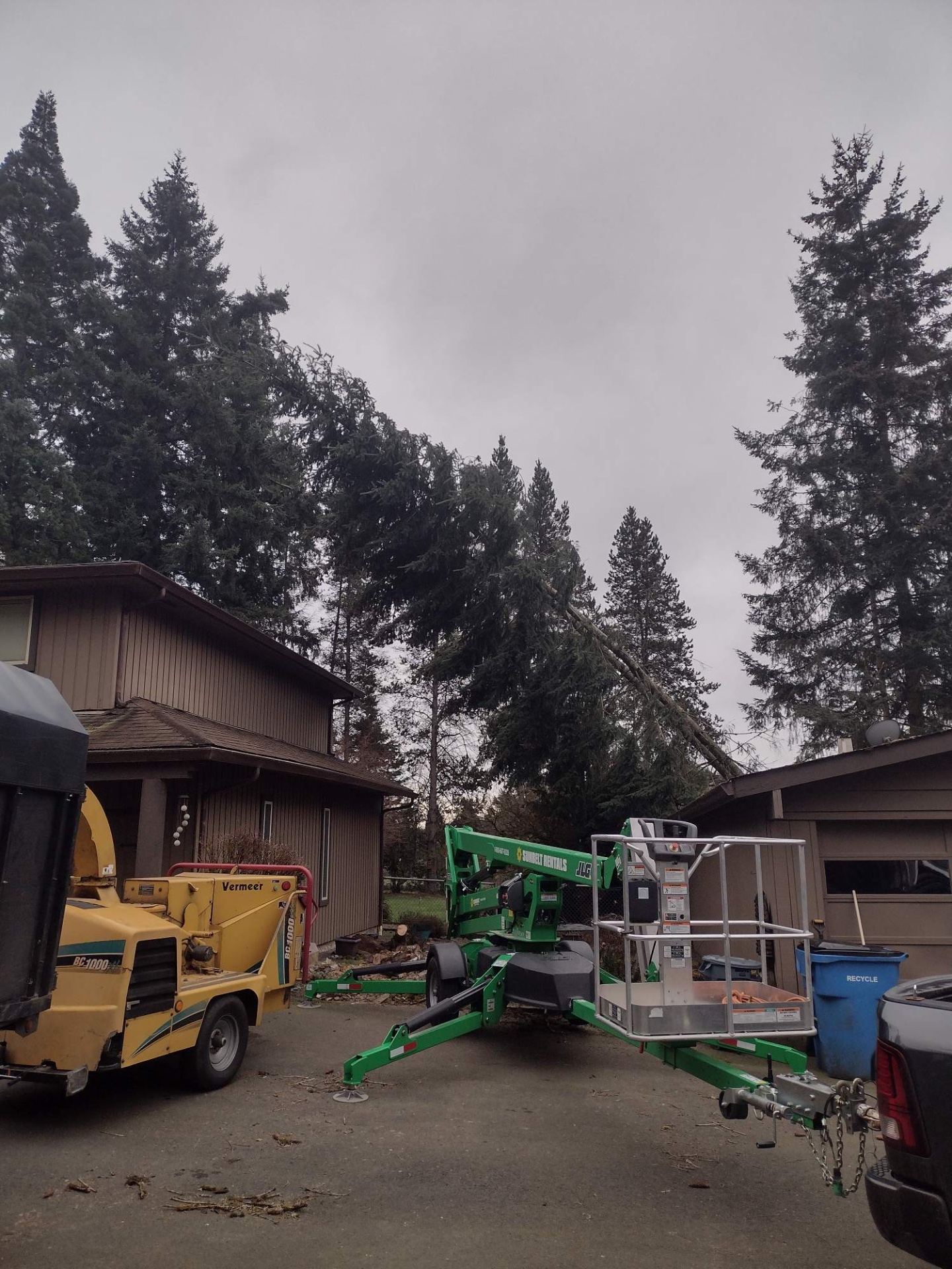 Douglas Tree Service & Landworks LLC, Firewood in Ridgefield, WA - photo 4