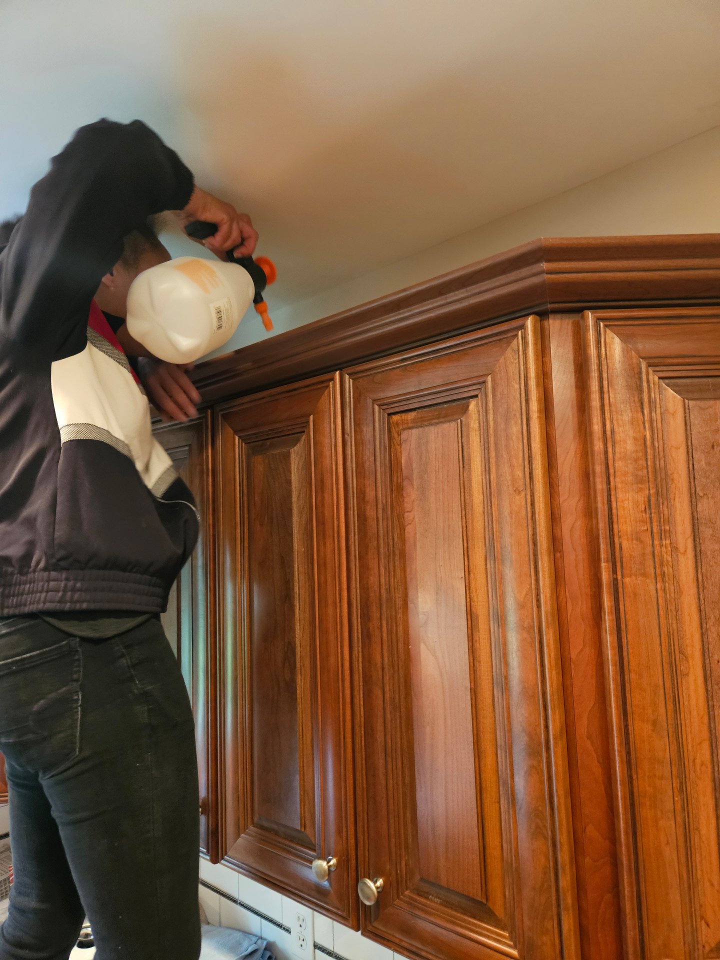 SWAT Team of Michigan, Commercial Cleaning in Mason, MI - photo 4