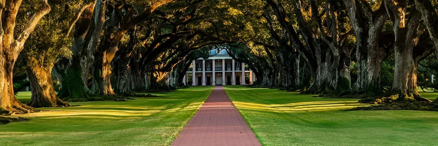 Louisiana Home Abstract cover photo