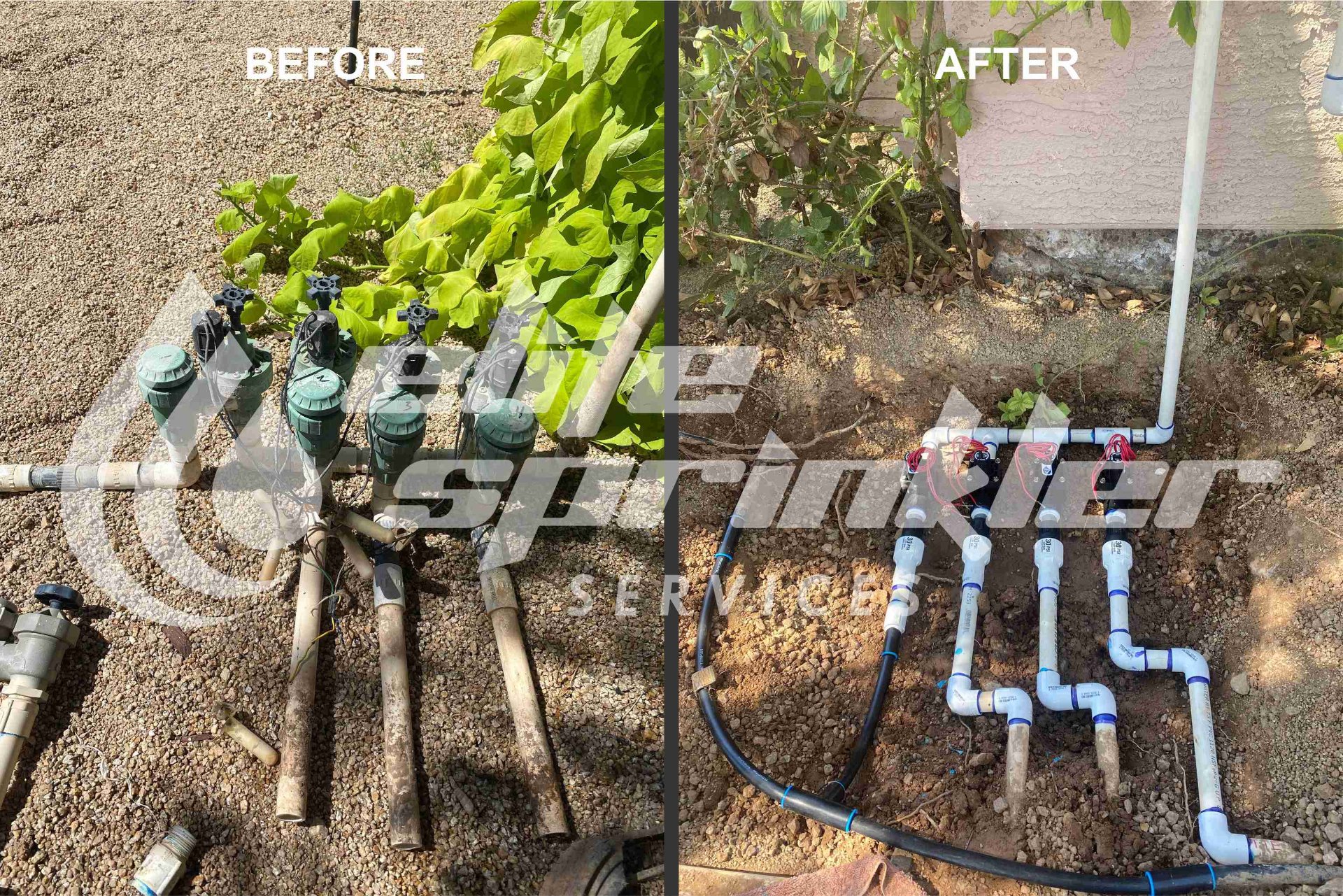 Elite Pool and Sprinkler, Sprinkler and Irrigation System Installation in Chandler, AZ - photo 3