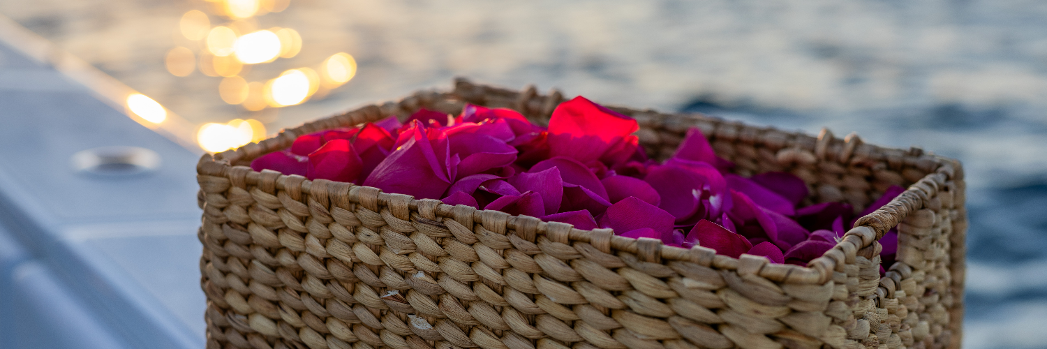 Waves of Remembrance cover photo