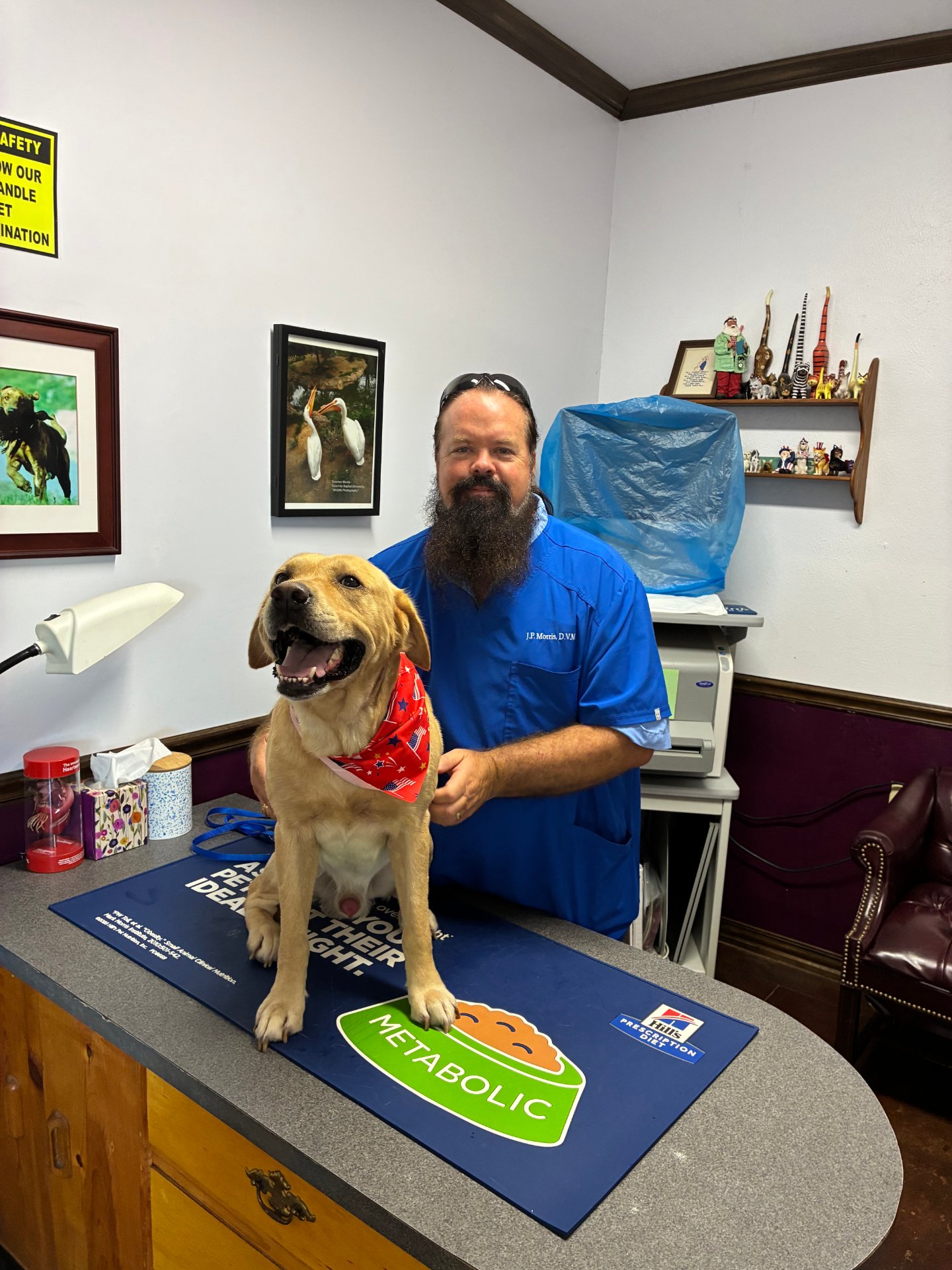 Noonday Vet Center PC, Veterinarians in Tyler, TX - photo 3