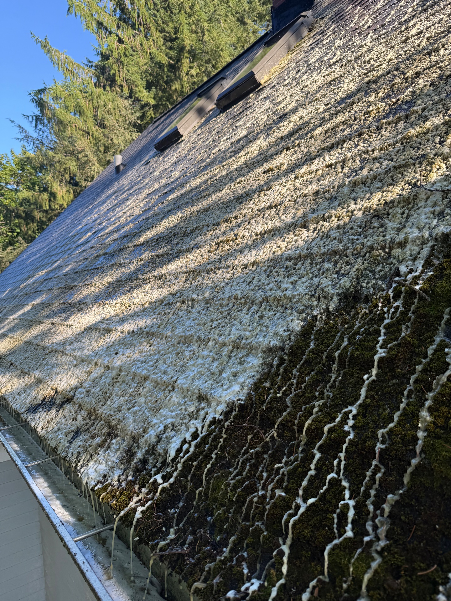 Crown Exterior Cleaning, Gutter Cleaning in East Aurora, NY - photo 3