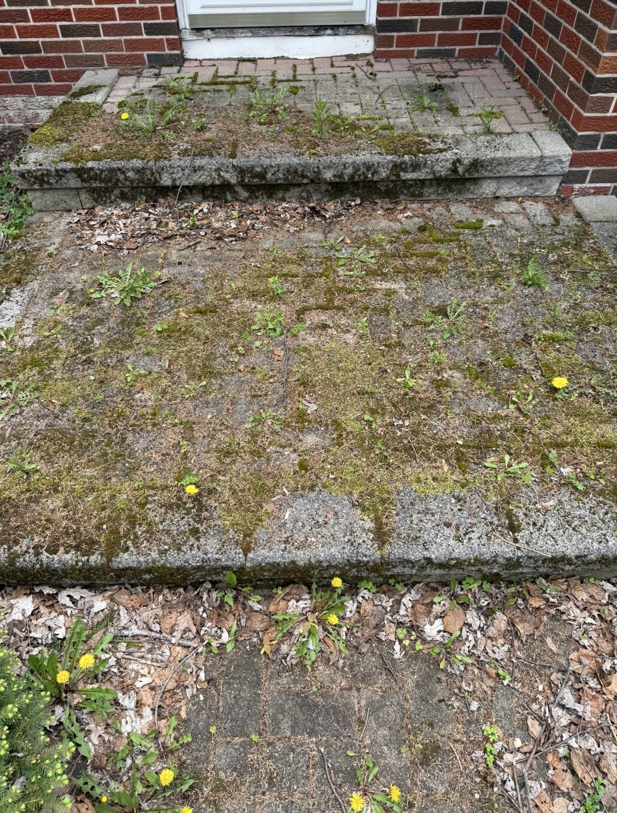 Crown Exterior Cleaning, Gutter Cleaning in East Aurora, NY - photo 7