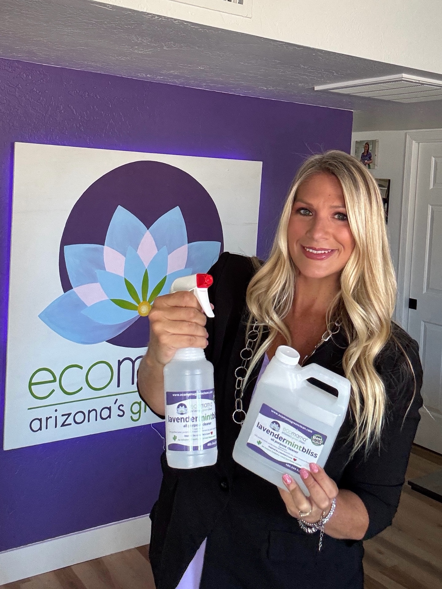 Eco Mama Green Clean, House Cleaning in Phoenix, AZ - photo 2