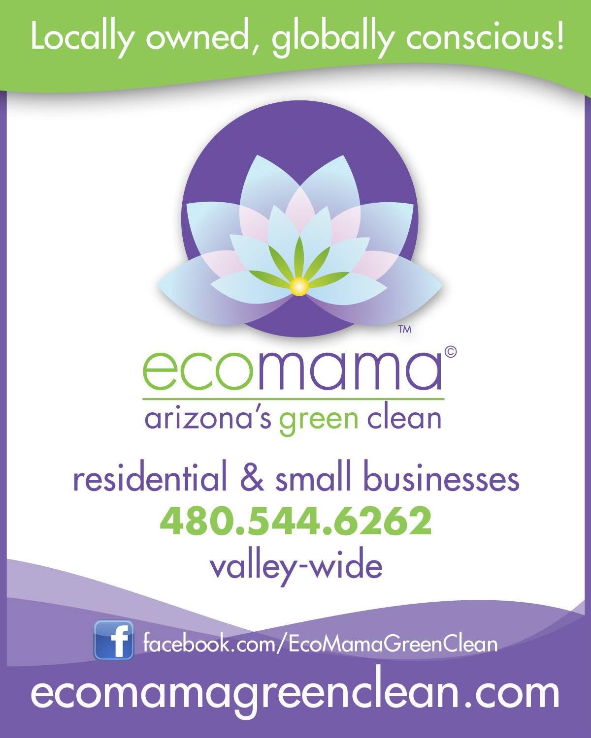 Eco Mama Green Clean, House Cleaning in Phoenix, AZ - photo 6