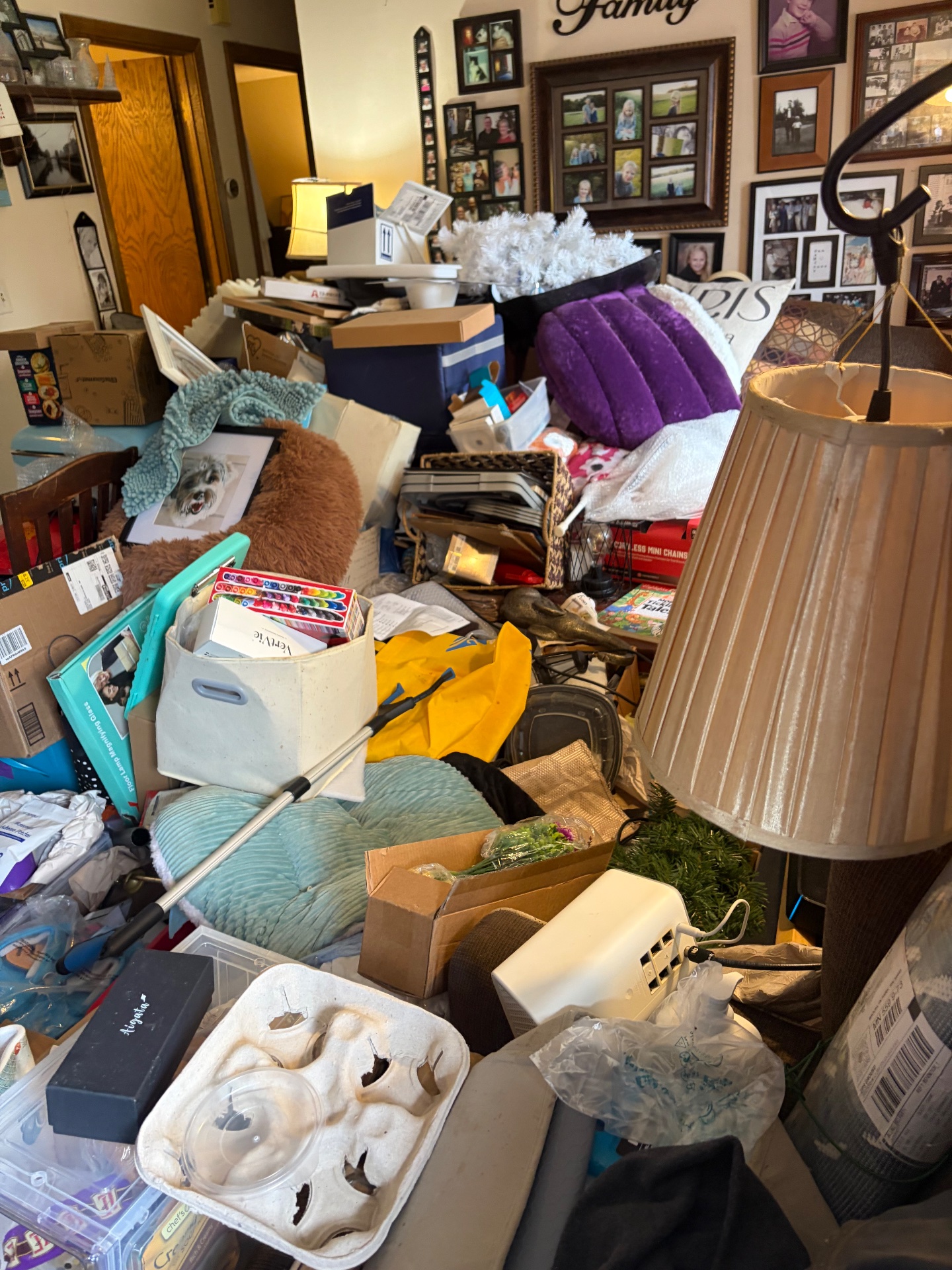 Fernandodjunkremoval, Residential Junk Removal in Maplewood, MN - photo 4