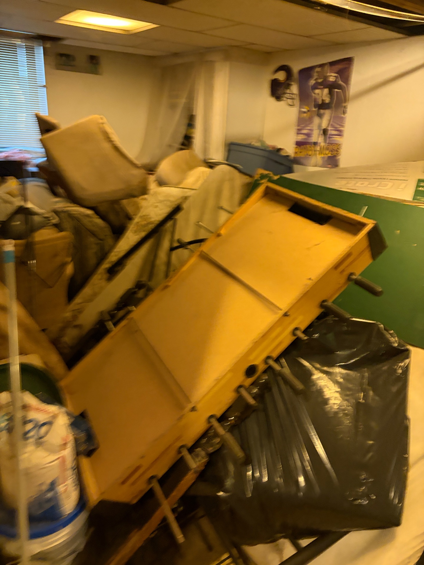 Fernandodjunkremoval, Residential Junk Removal in Maplewood, MN - photo 2