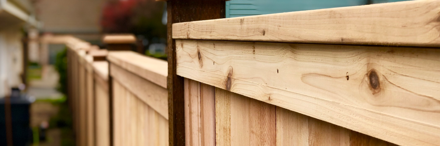 Jas Fence cover photo