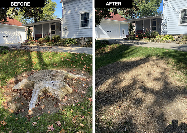 KW Stump Grinding, Forestry in Perry, OH - photo 2