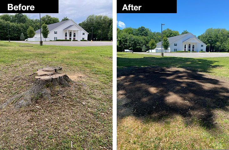 KW Stump Grinding, Forestry in Perry, OH - photo 1