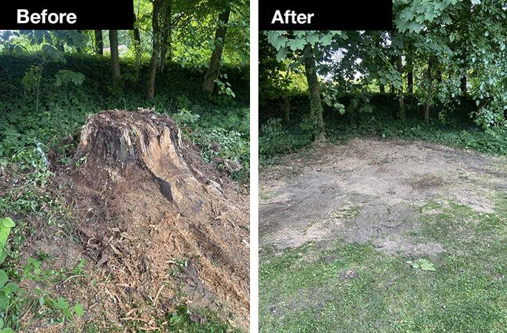 KW Stump Grinding, Forestry in Perry, OH - photo 5