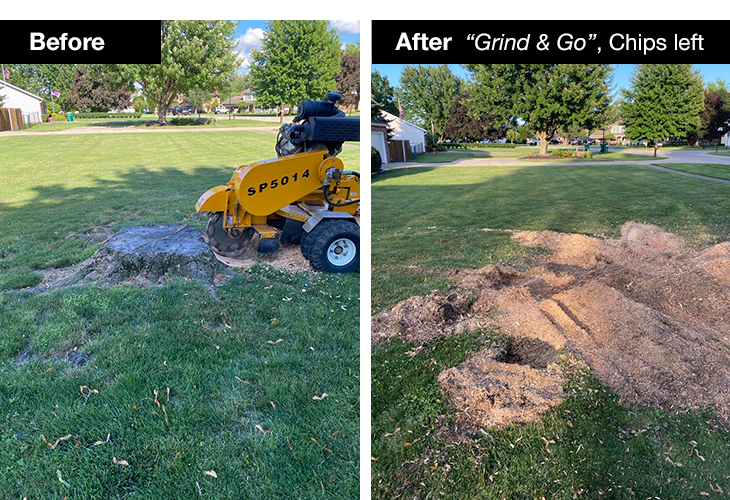 KW Stump Grinding, Forestry in Perry, OH - photo 6