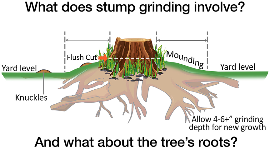 KW Stump Grinding, Forestry in Perry, OH - photo 8