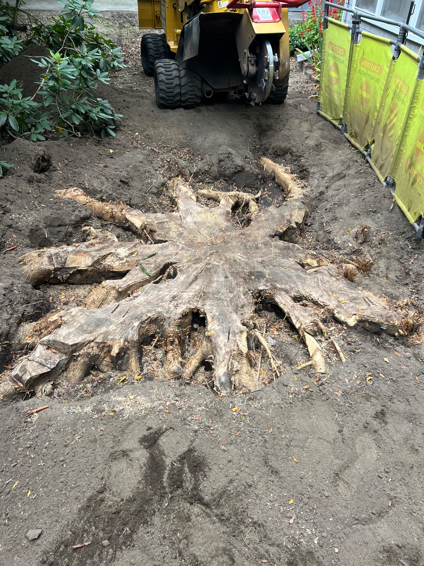 Level Ground Stump Grinding, Tree Stump Grinding and Removal in Londonderry , NH - photo 1