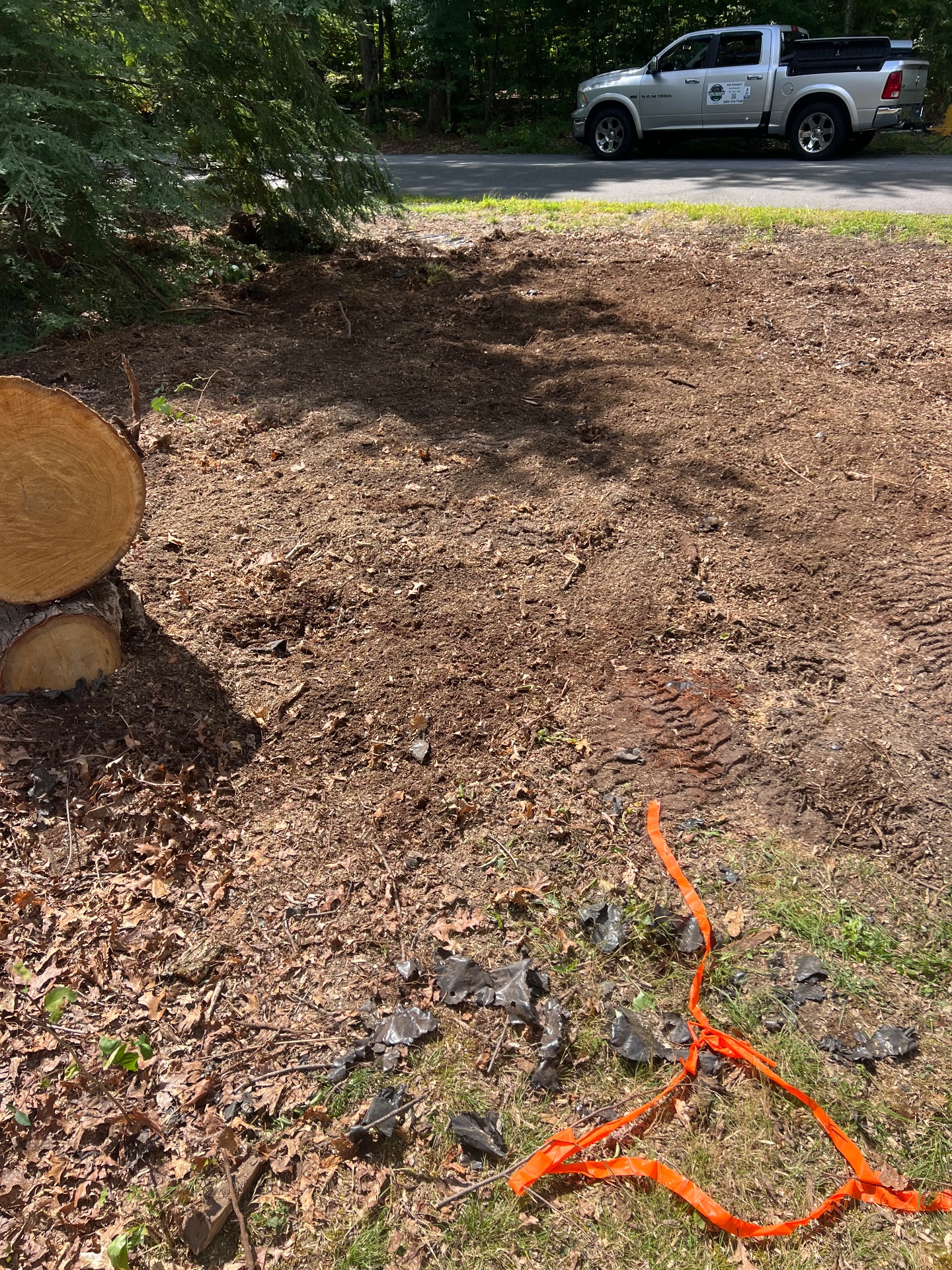 Level Ground Stump Grinding, Tree Stump Grinding and Removal in Londonderry , NH - photo 4