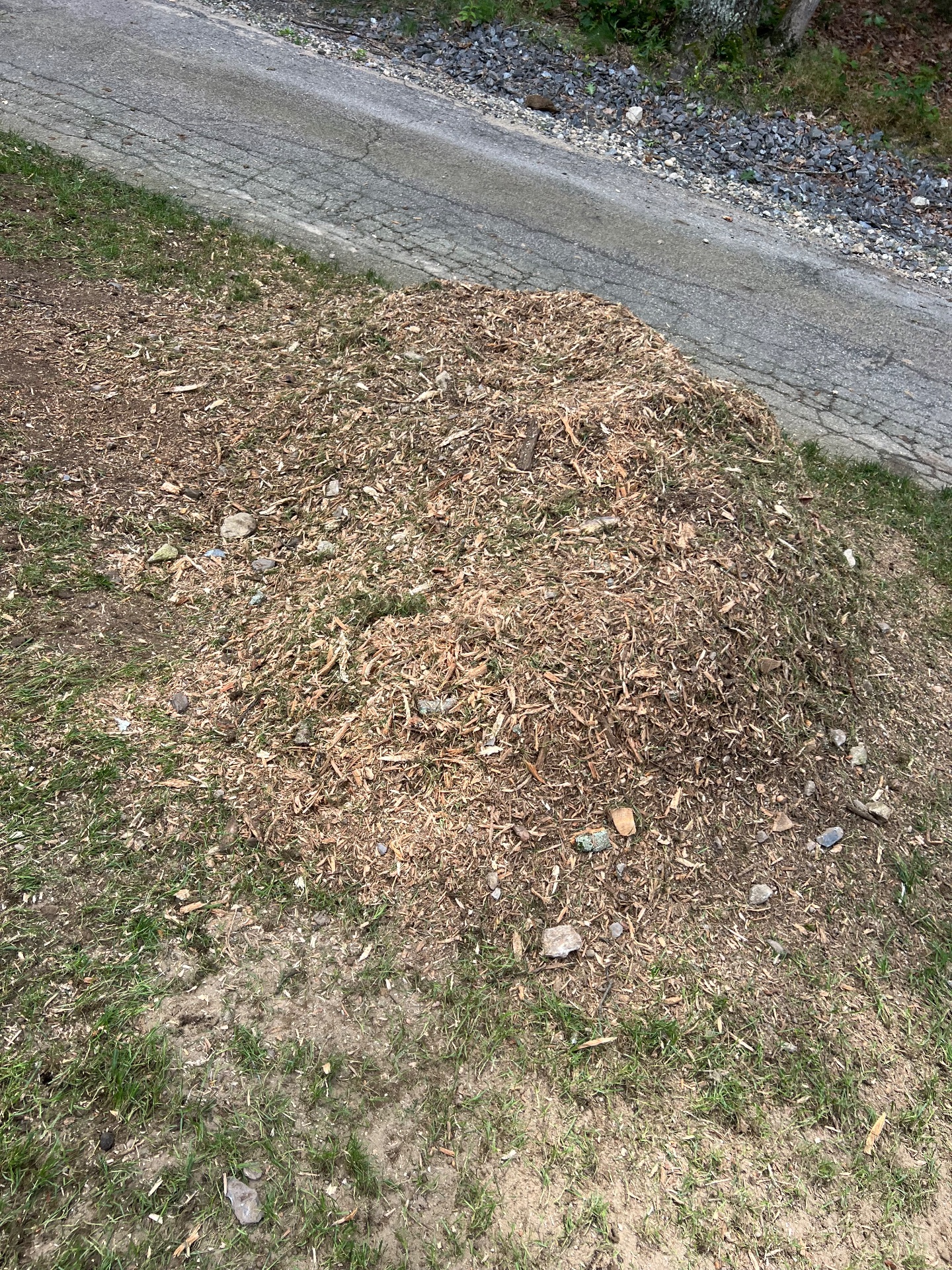 Level Ground Stump Grinding, Tree Stump Grinding and Removal in Londonderry , NH - photo 6