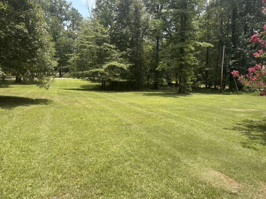 Watson Outdoor Services, Lawn Services in Williamson, GA - photo 8