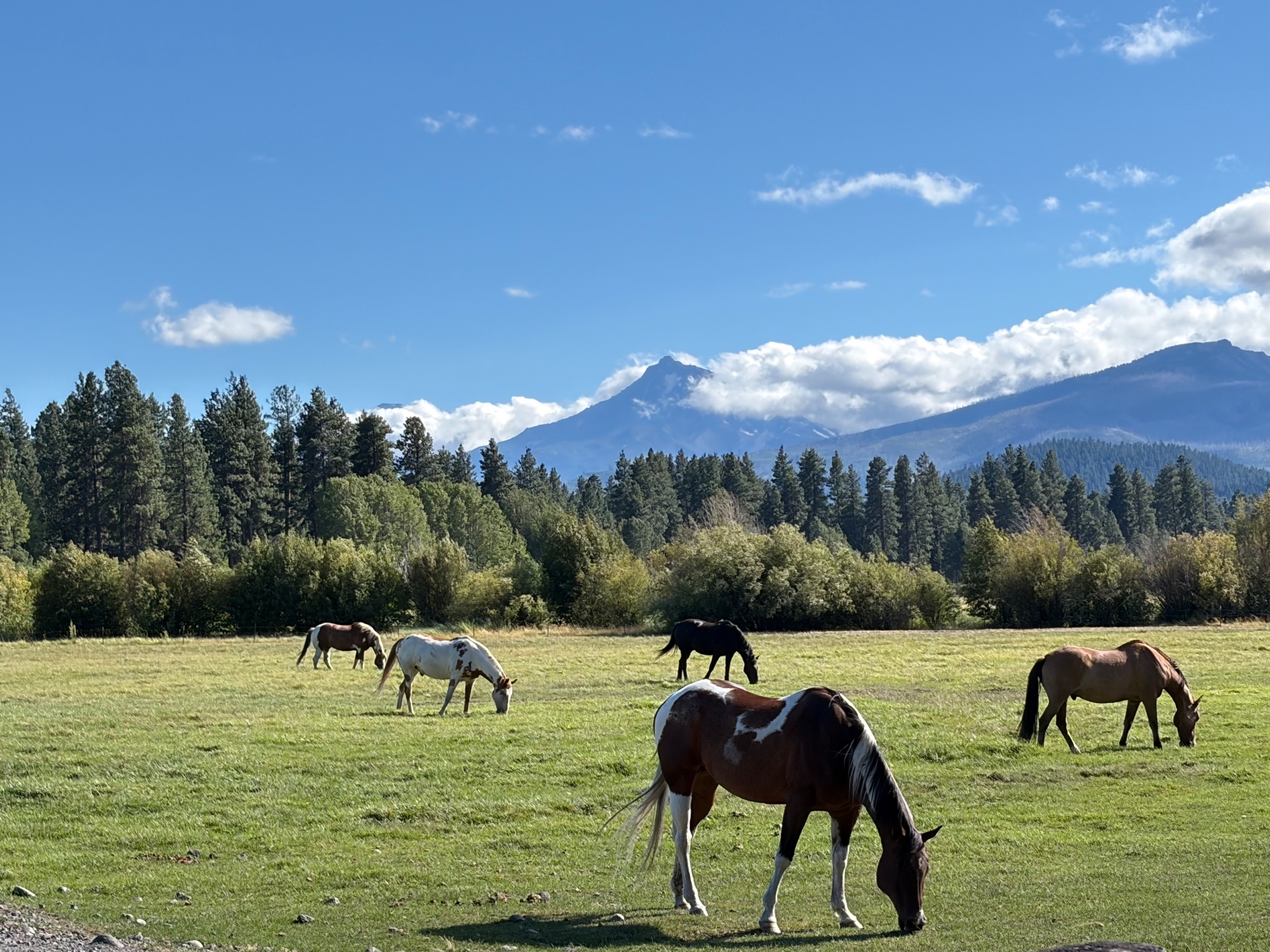 Realtor Sherrene Hagenbach-Winters, Commercial Real Estate Agents in Redmond, OR - photo 7