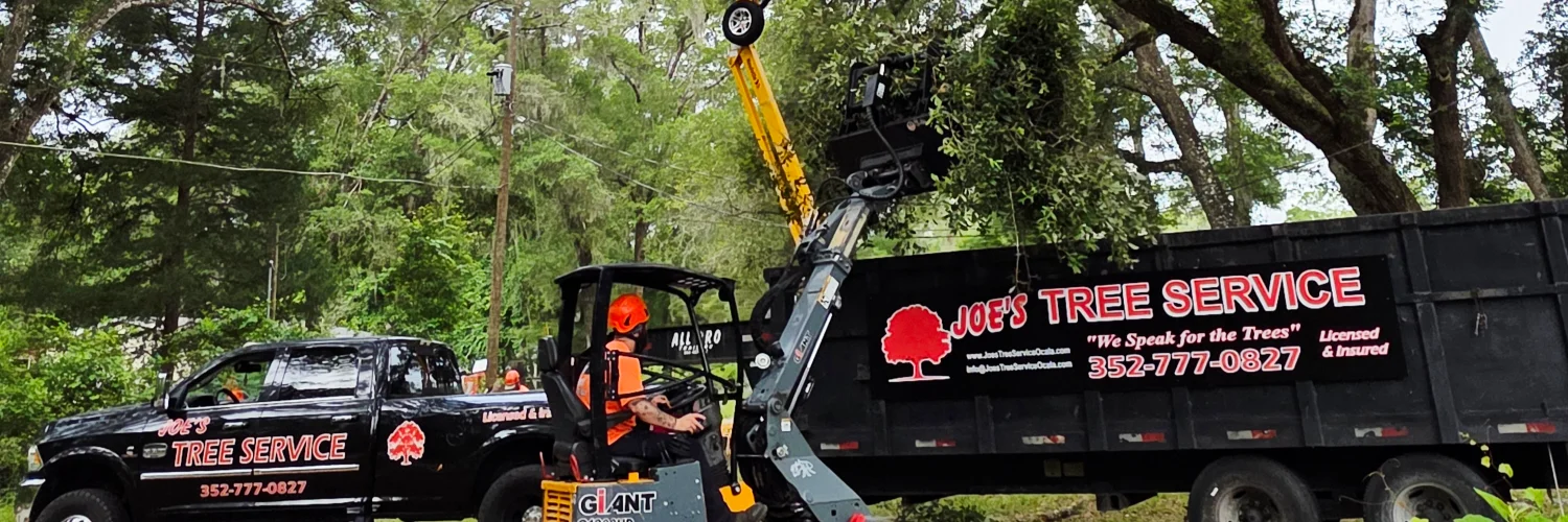 Joes Tree Service LLC cover photo