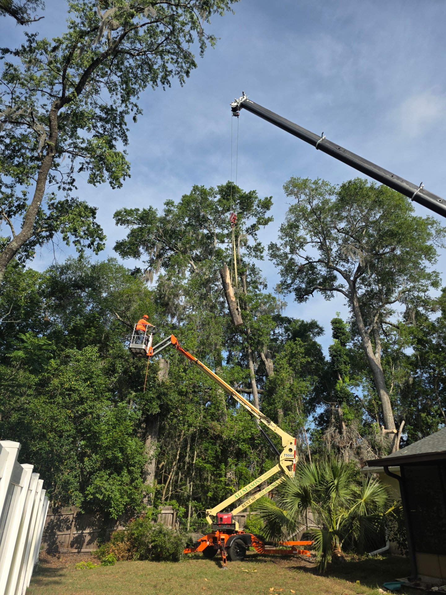 Joes Tree Service LLC, Tree Services in Ocala, FL - photo 2