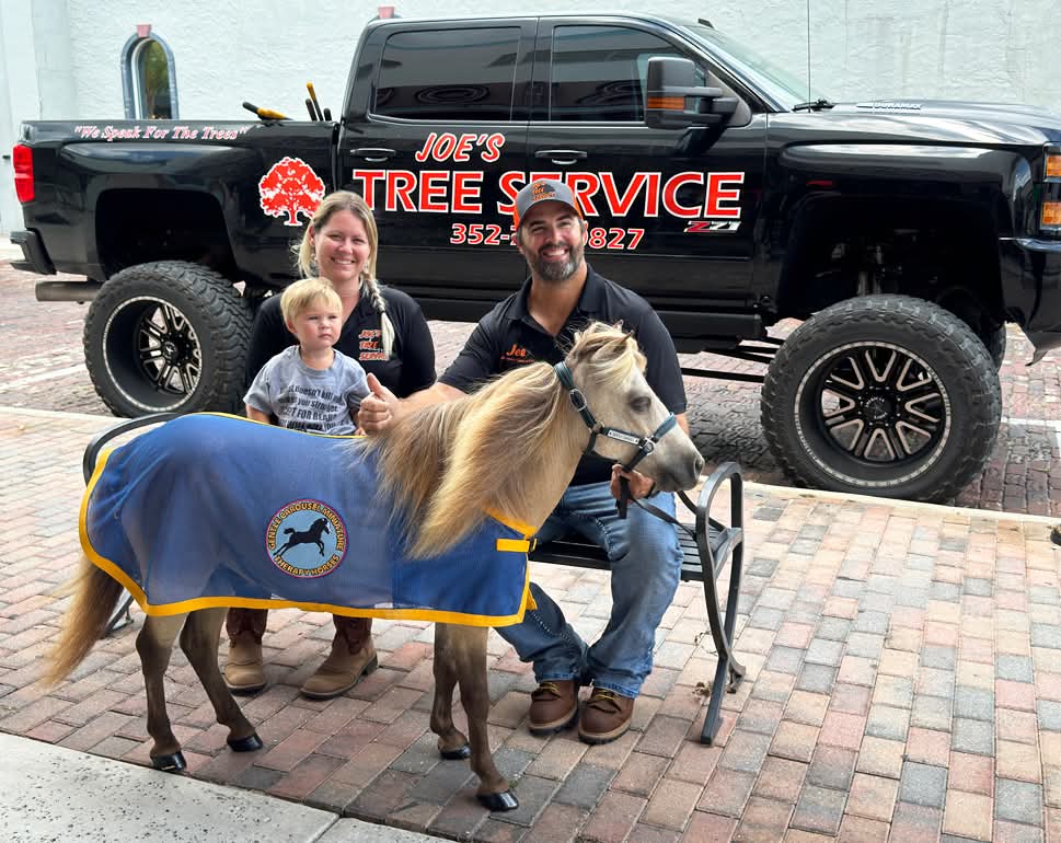 Joes Tree Service LLC, Tree Services in Ocala, FL - photo 5