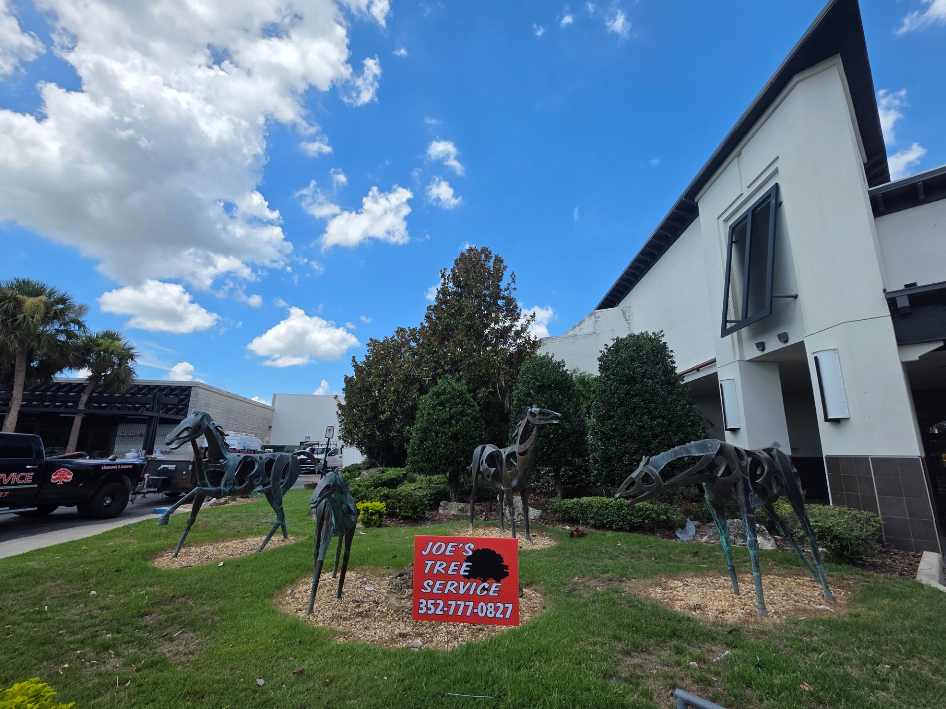 Joes Tree Service LLC, Tree Services in Ocala, FL - photo 6