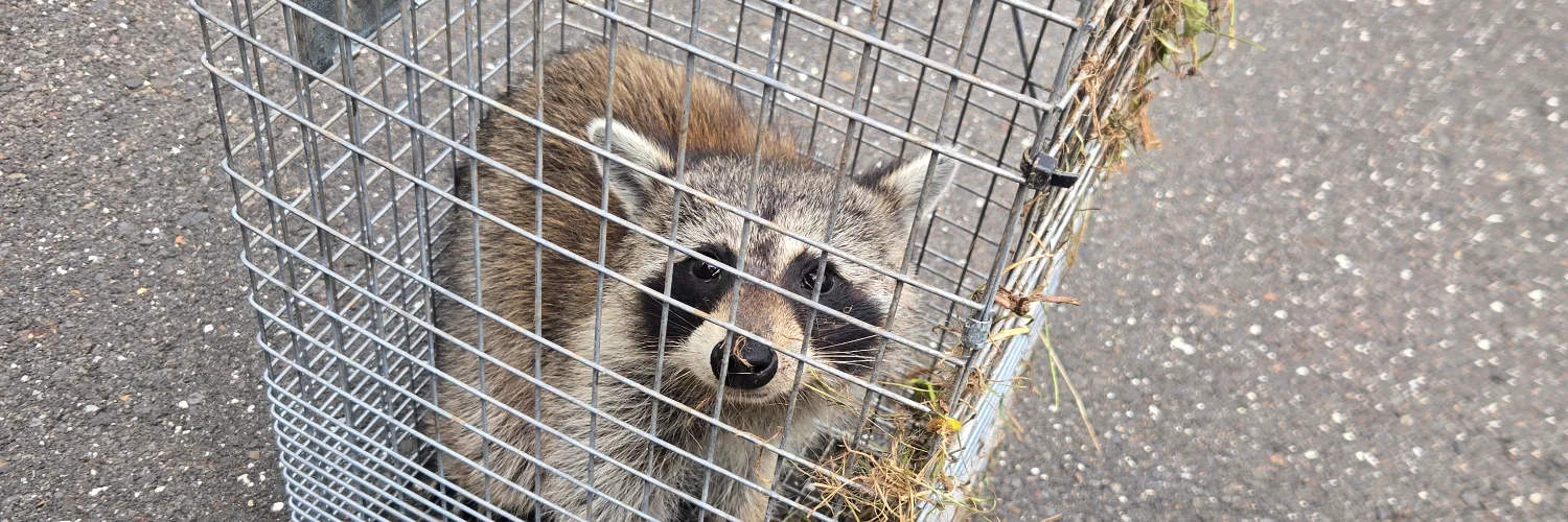 Ed's Pest and Wildlife Control LLC cover photo