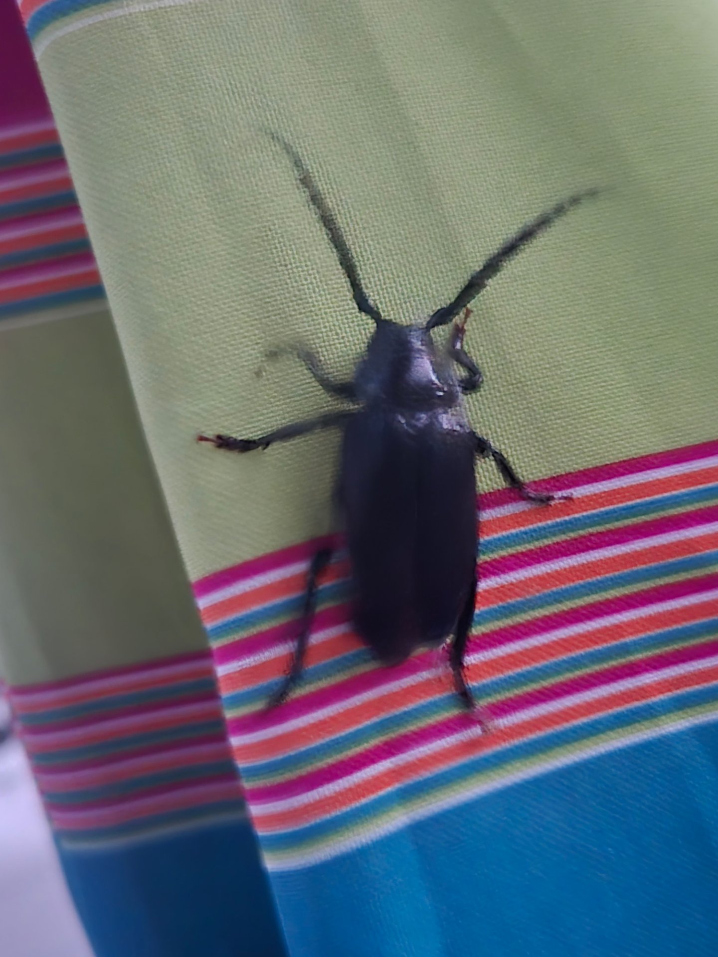Ed's Pest and Wildlife Control LLC, Pest Control Services in Langhorne, PA - photo 1
