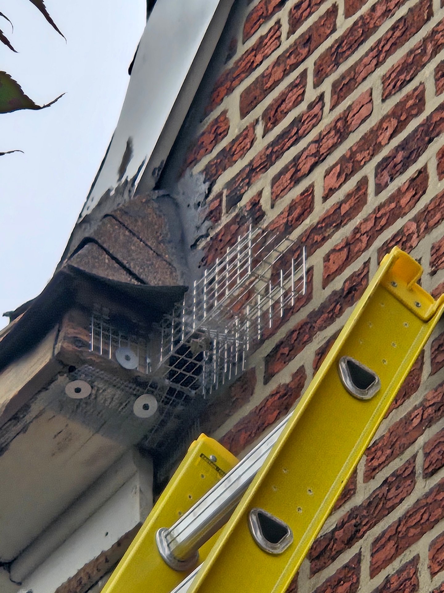 Ed's Pest and Wildlife Control LLC, Pest Control Services in Langhorne, PA - photo 3