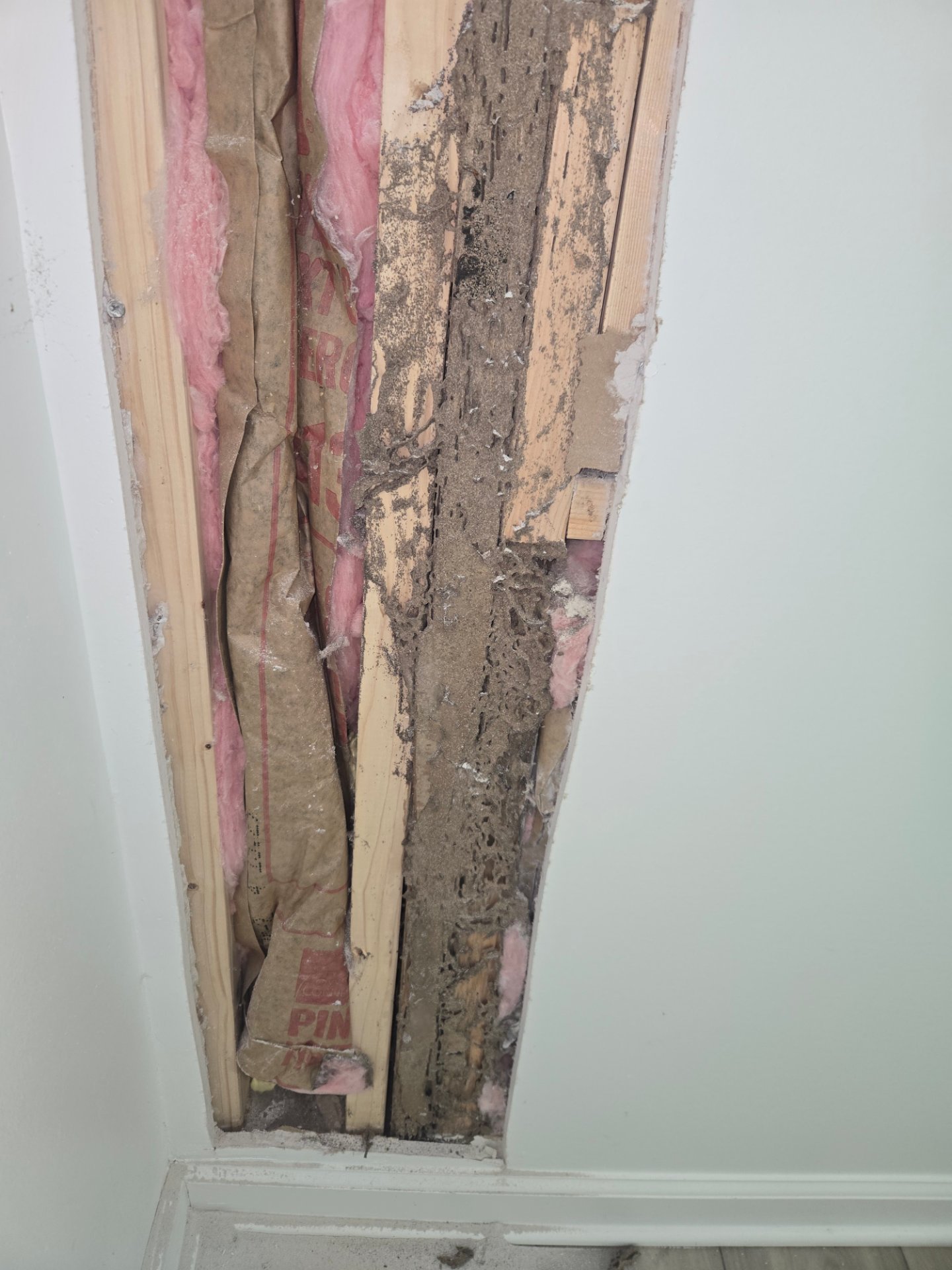 Ed's Pest and Wildlife Control LLC, Pest Control Services in Langhorne, PA - photo 6