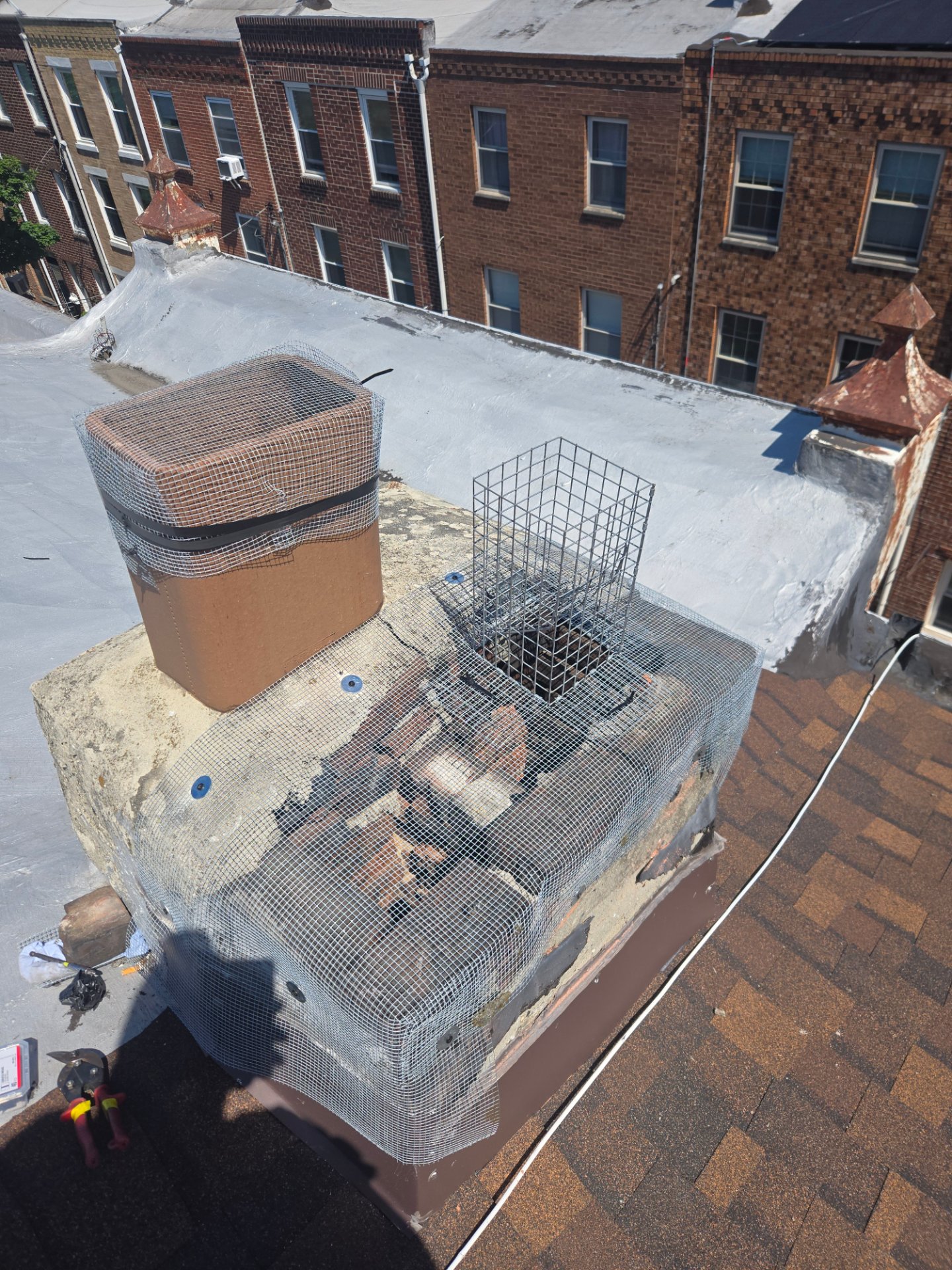 Ed's Pest and Wildlife Control LLC, Pest Control Services in Langhorne, PA - photo 7