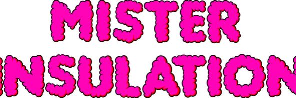 Mister Insulation cover photo